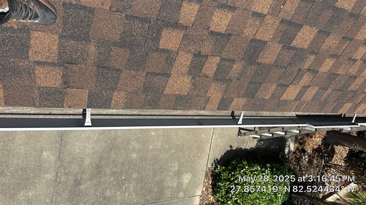 shingle roof replacement in Tampa, Florida