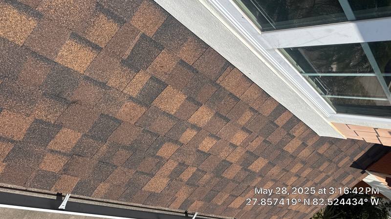 roofing project near S Sparkman Street in Tampa