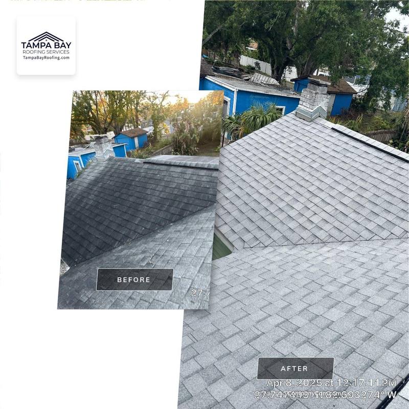 shingle roof replacement in St. Petersburg, Florida