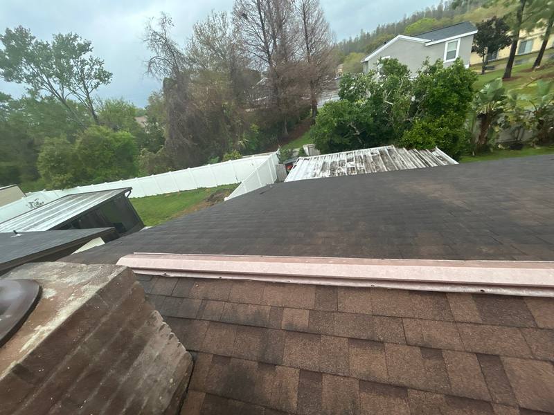 shingle roof replacement in Tampa, Florida