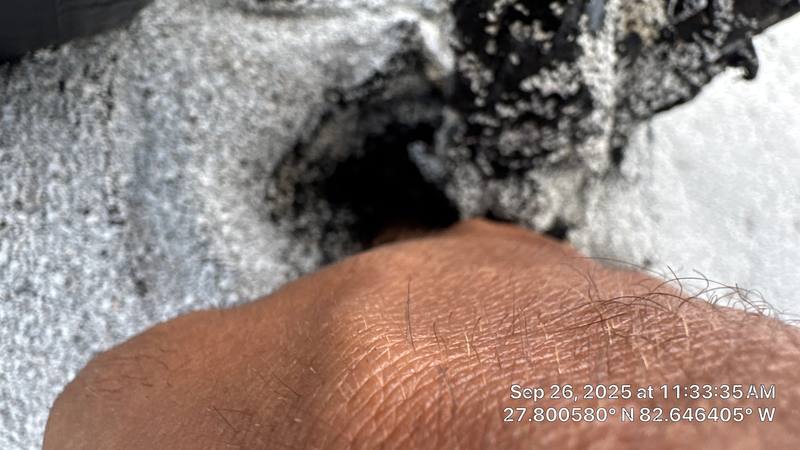 roof replacement in St. Petersburg, Florida