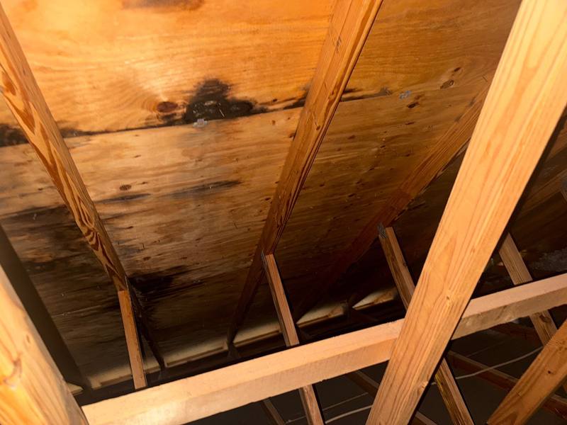 roof repair in Lutz, Florida