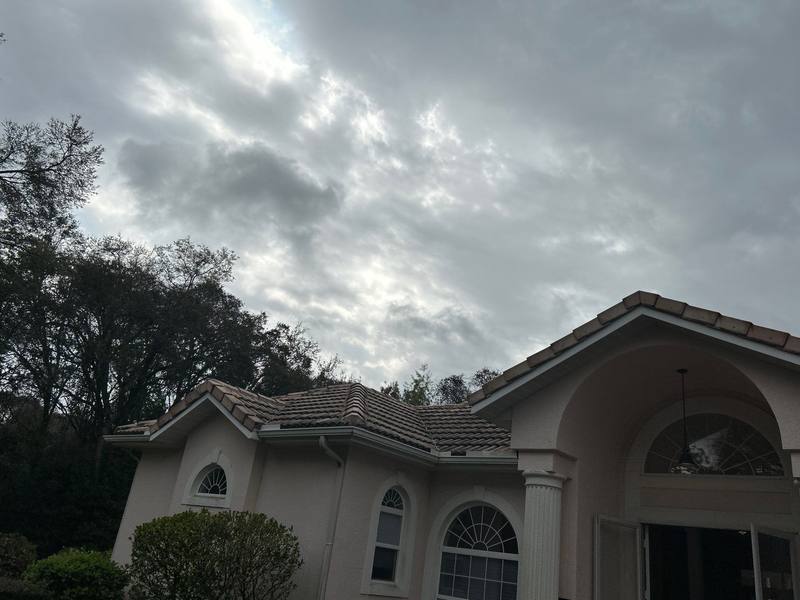 shingle roof replacement in Hernando, Florida