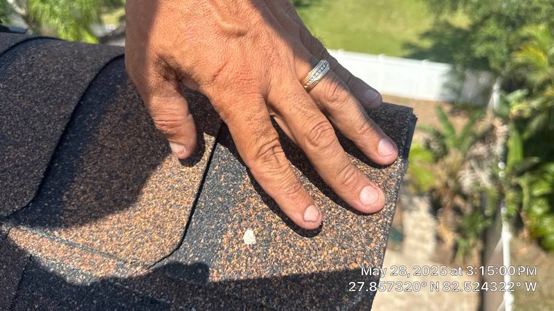 residential shingle roof replacement by Hloska Roofing in Tampa