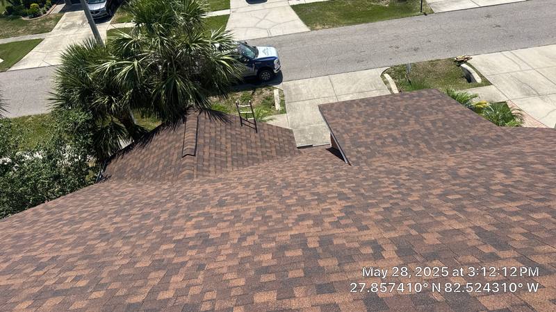 shingle roof replacement in Tampa, Florida