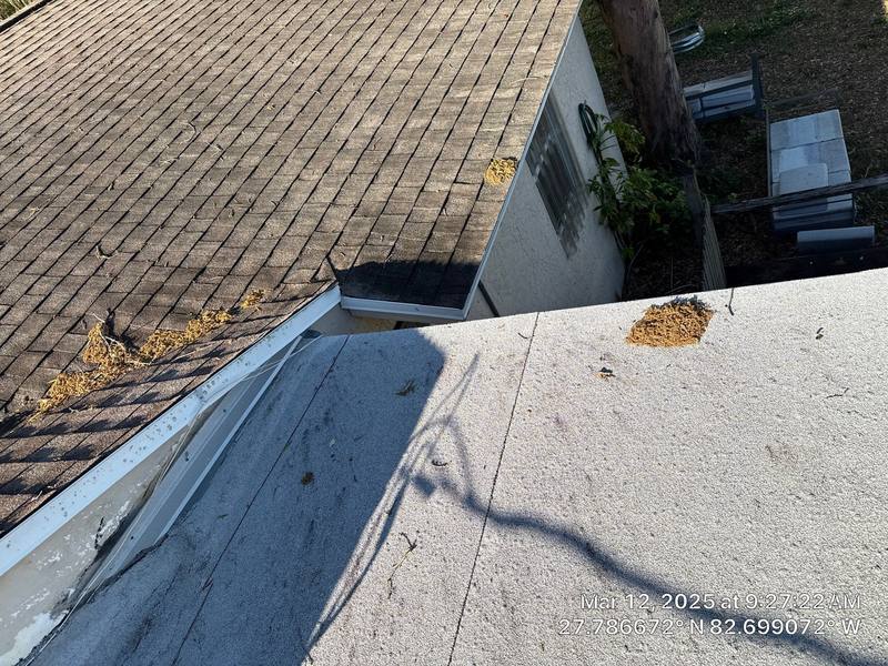 residential roof replacement by Hloska Roofing in St. Petersburg