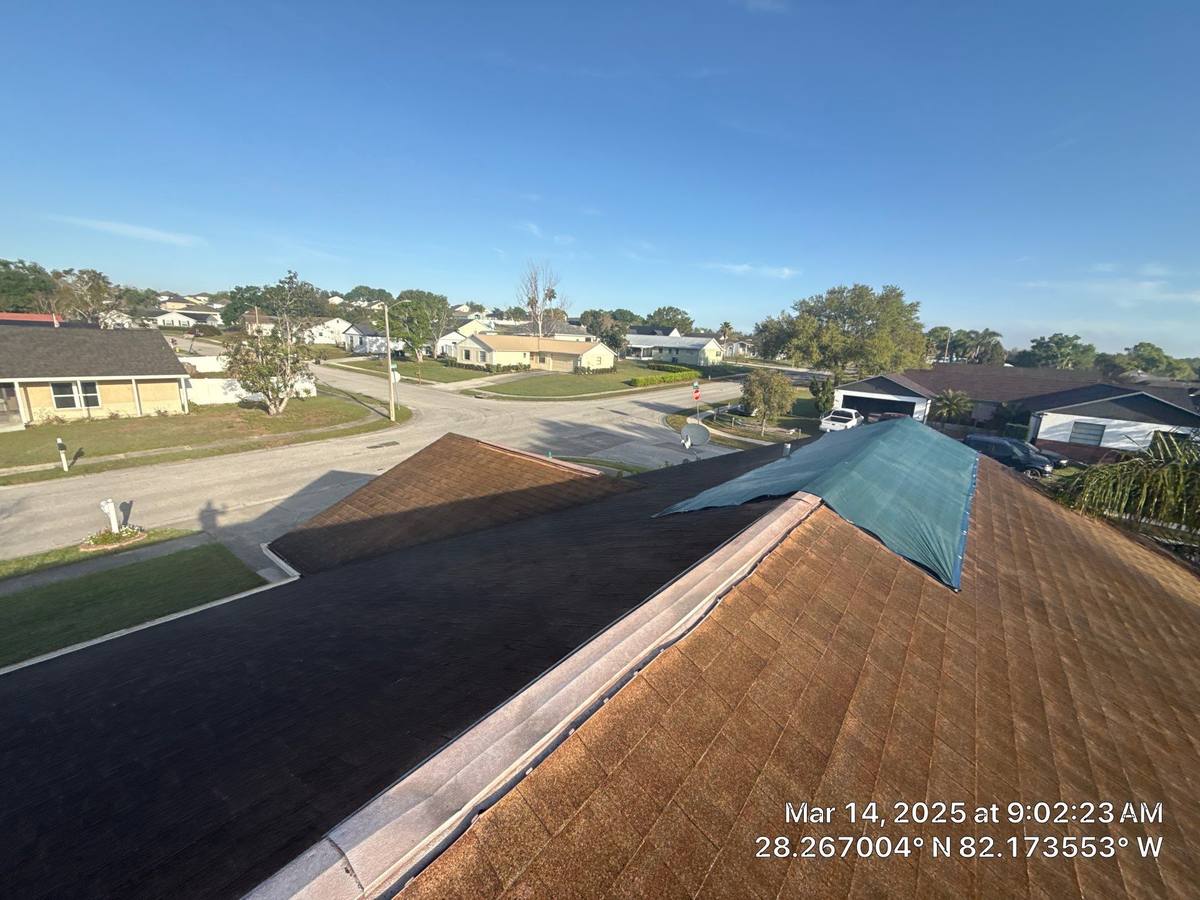 shingle roof replacement in Zephyrhills, Florida
