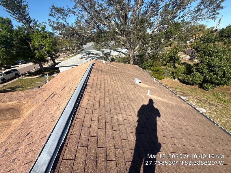 shingle roof replacement in St. Petersburg, Florida
