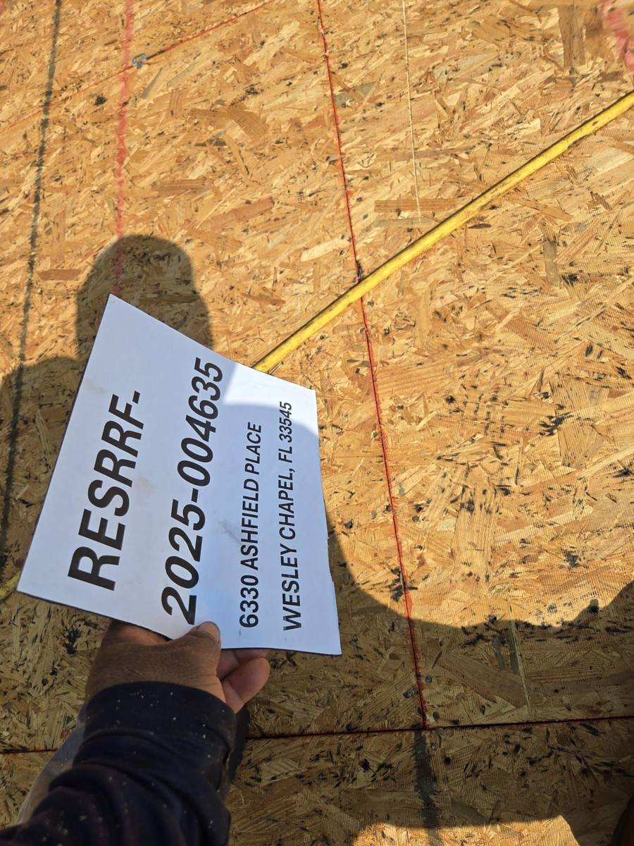 shingle roof replacement in Wesley Chapel, Florida