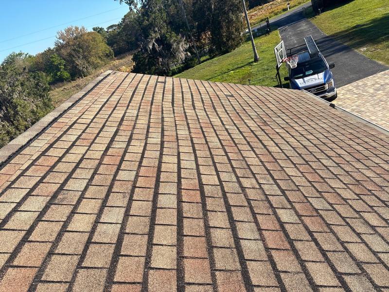 roofing project near Drexel Road in Land O Lakes