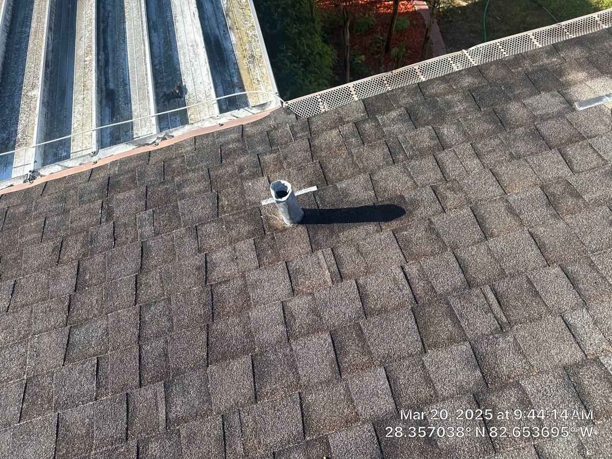 shingle roof replacement in Hudson, Florida