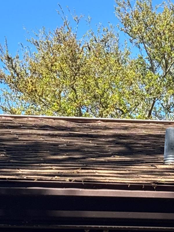 roofing project near 22nd Ave in St. Petersburg