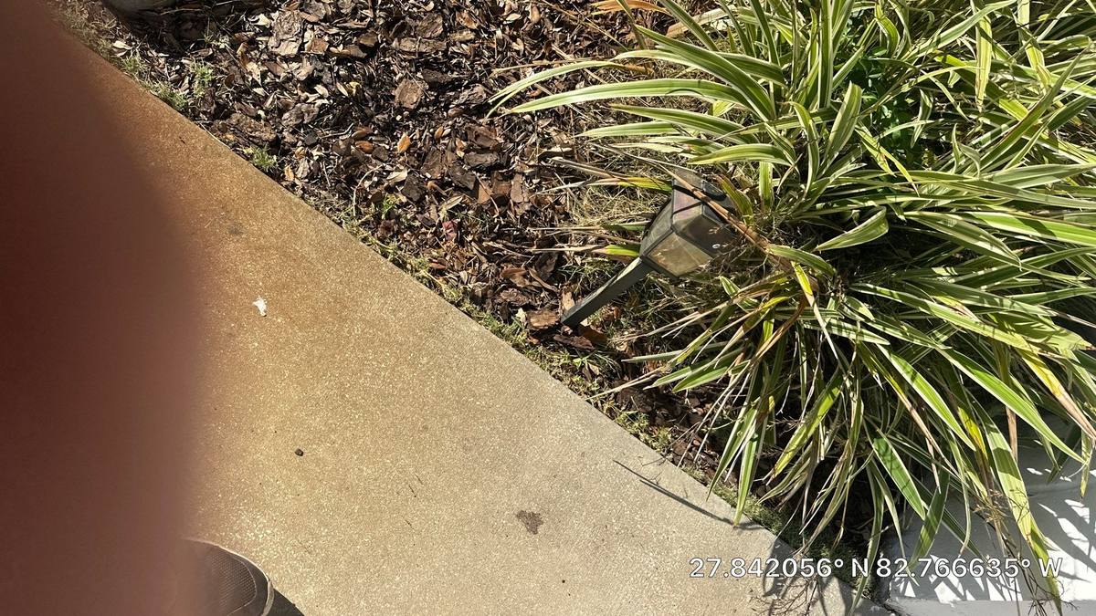 tile roof replacement in Seminole, Florida