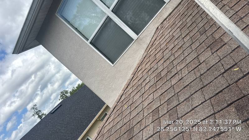 roof replacement in Wesley Chapel, Florida