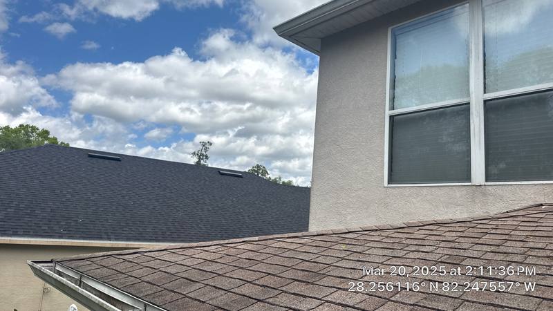 roofing project near Bluff Meadow Ct in Wesley Chapel