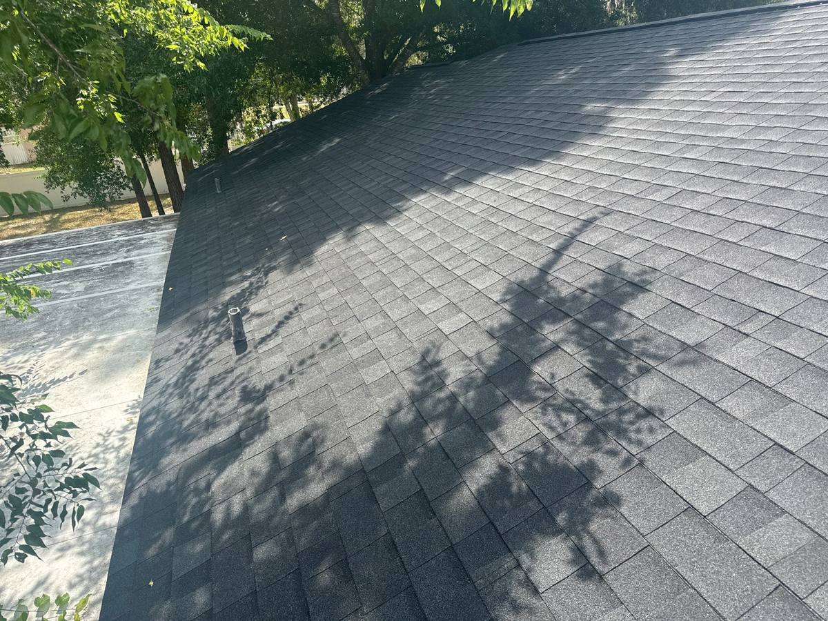 shingle roof replacement in Wesley Chapel, Florida