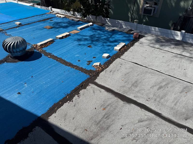 shingle roof replacement in New Port Richey, Florida