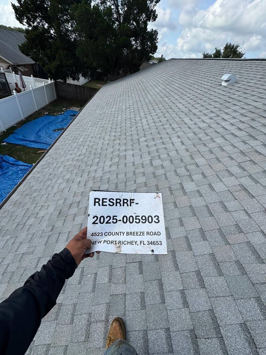 shingle roof replacement in New Port Richey, Florida
