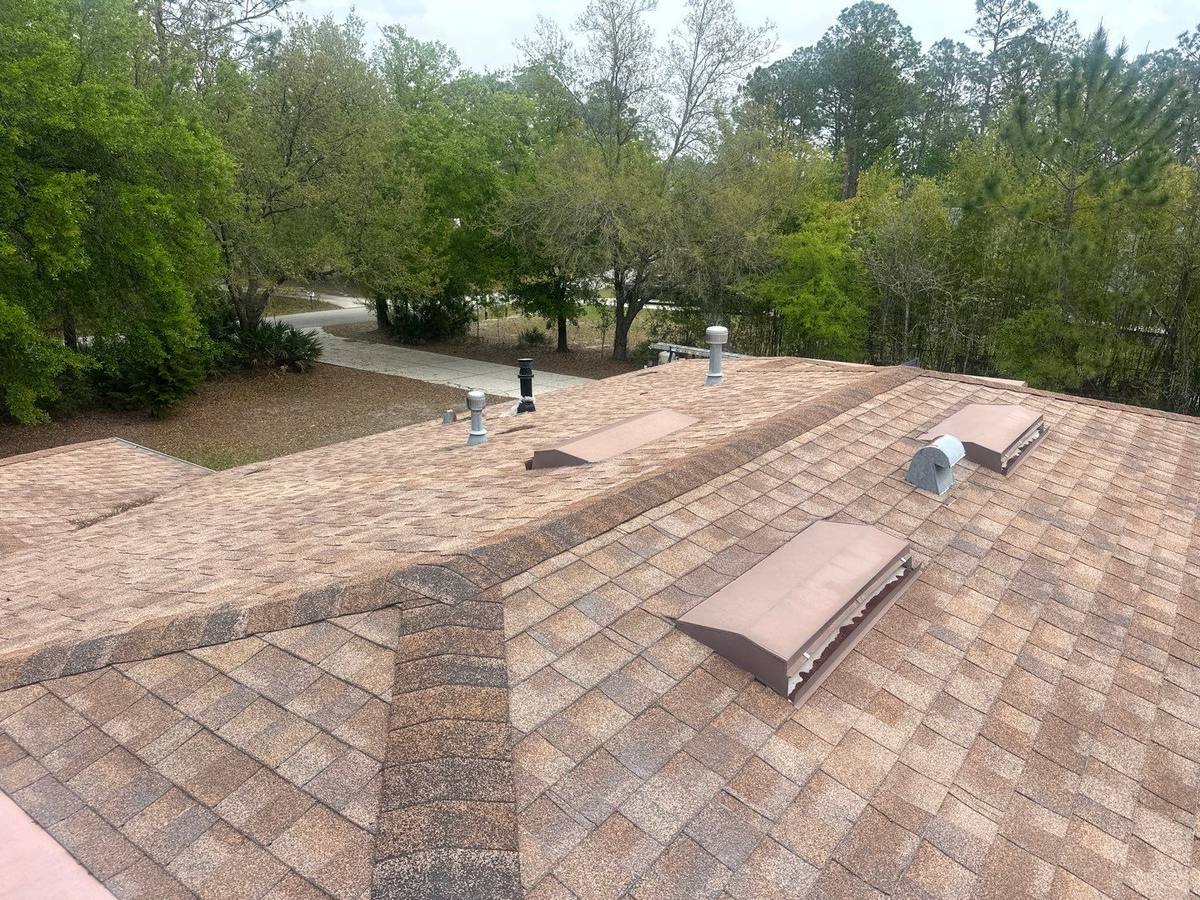 roof replacement in Wesley Chapel, Florida