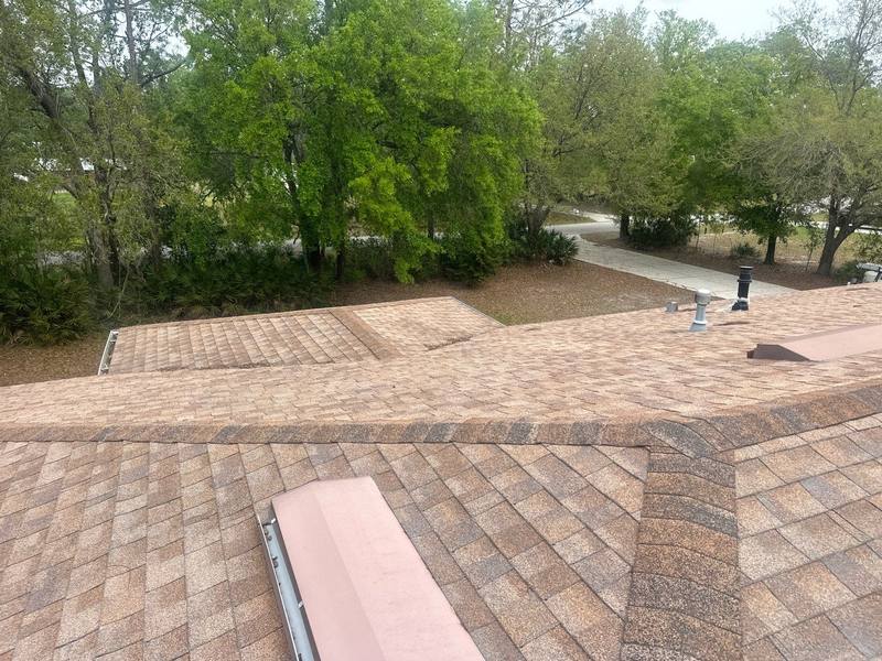 roof replacement in Wesley Chapel, Florida