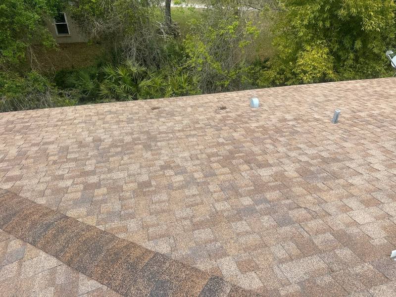 roofing project near Coral Vine Ln in Wesley Chapel