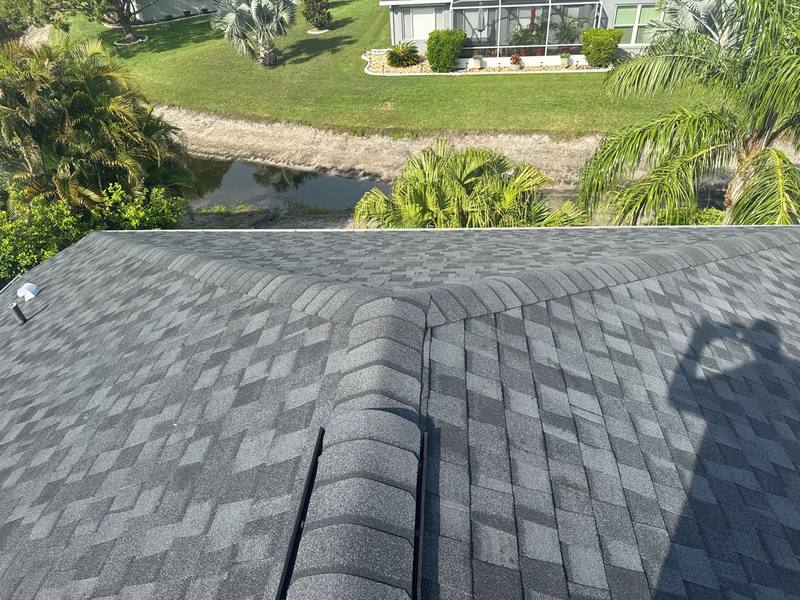 shingle roof replacement in Trinity, Florida
