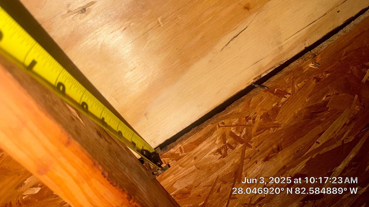 shingle roof replacement in Tampa, Florida