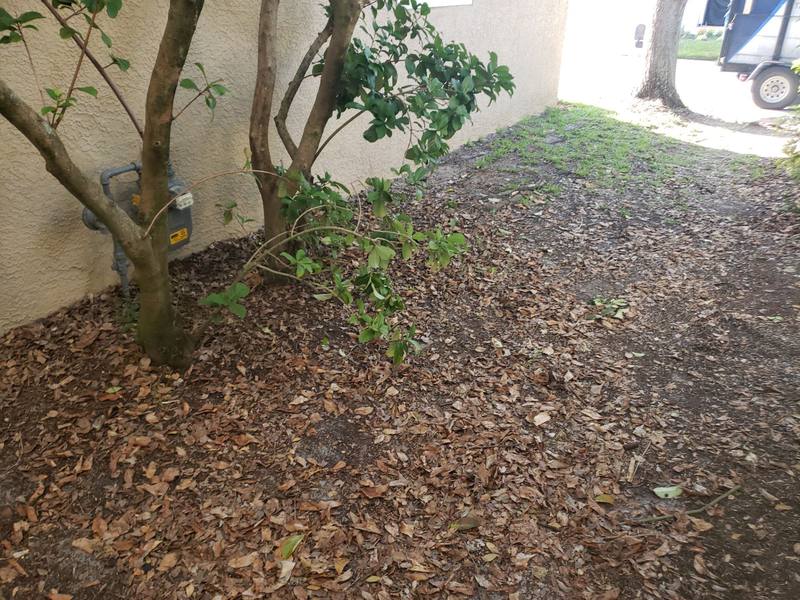 completed roofing project in Tampa FL