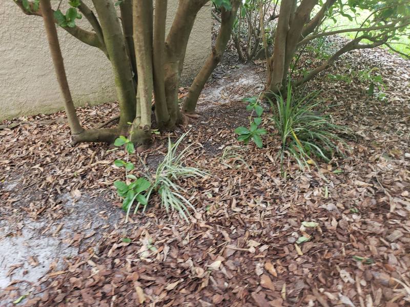 roofing project near Ashford Gables Ct in Tampa