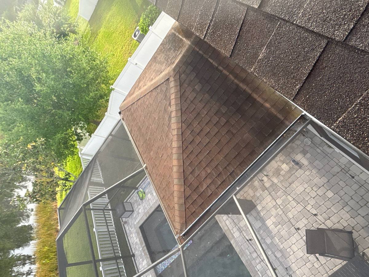 shingle roof replacement in Tampa, Florida
