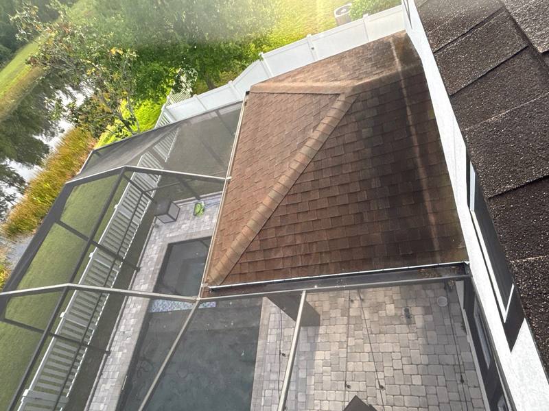 roofing project near Paddock View Drive in Tampa