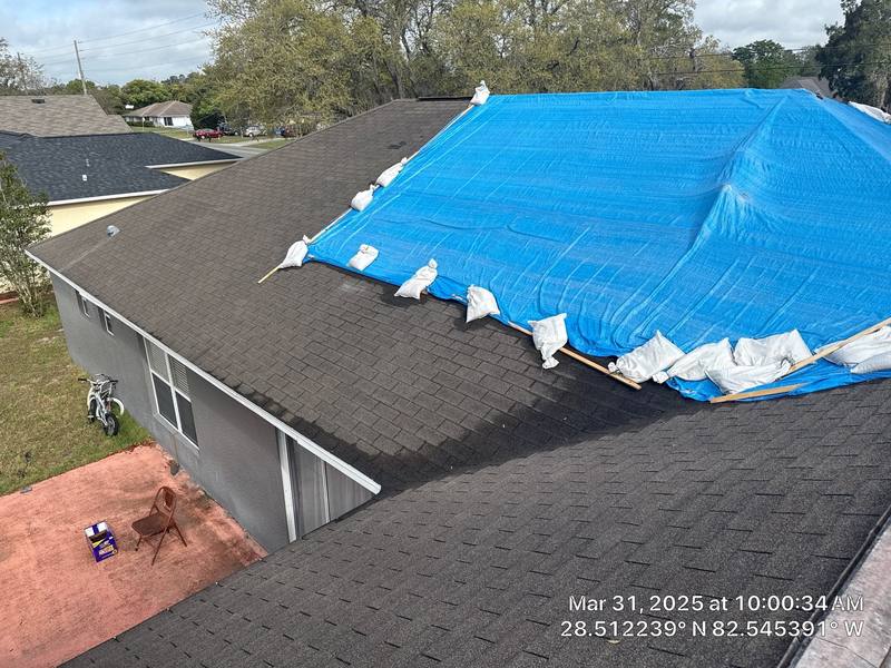 roofing project near Elgin Blvd in Spring Hill