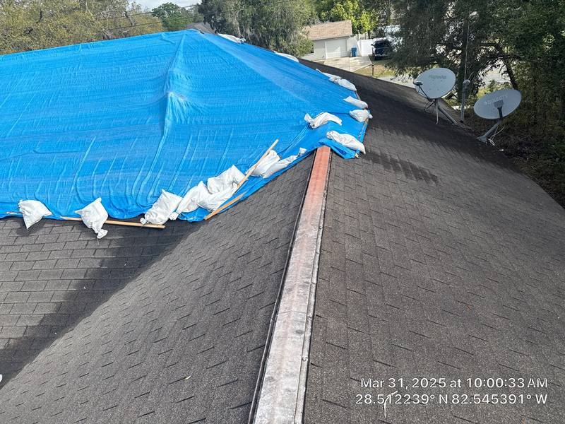 residential shingle roof replacement by Hloska Roofing in Spring Hill