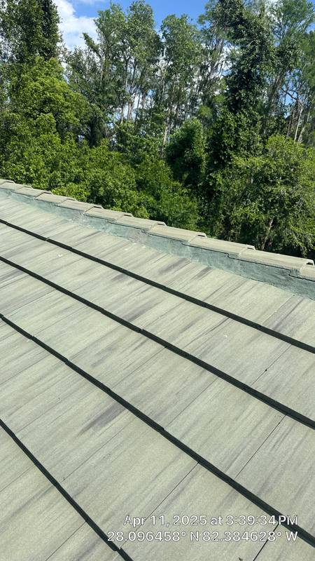 residential roof repair by Hloska Roofing in Tampa