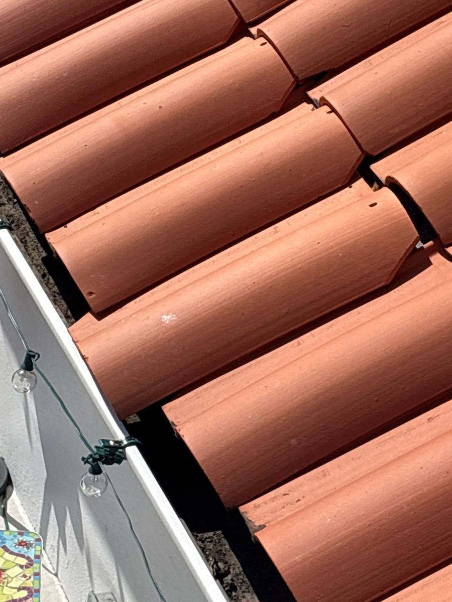 roof repair in Tampa, Florida