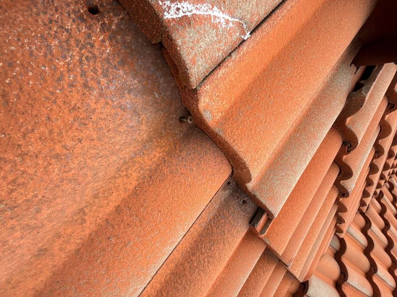 roof repair in New Port Richey, Florida