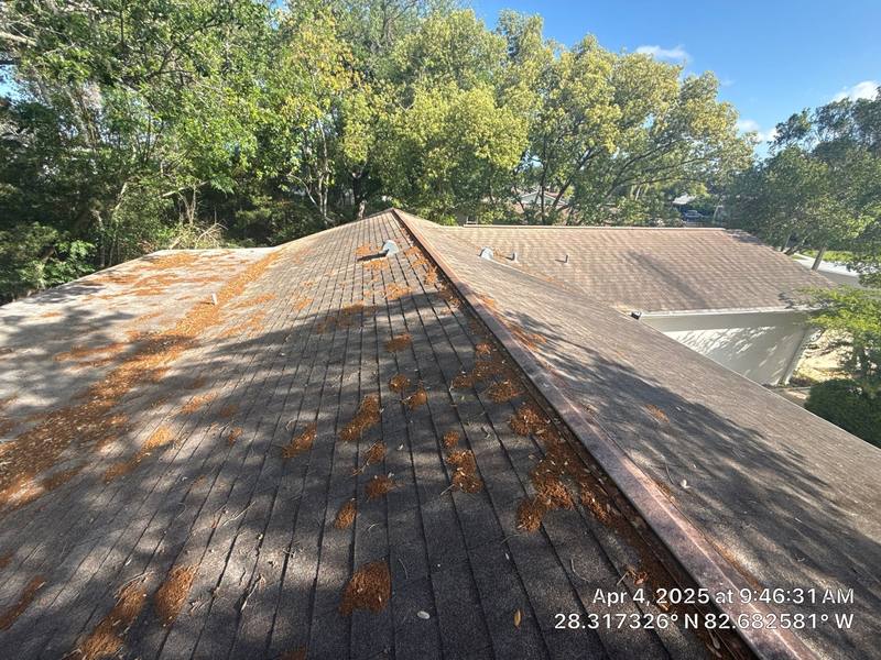 metal roof replacement in Port Richey, Florida