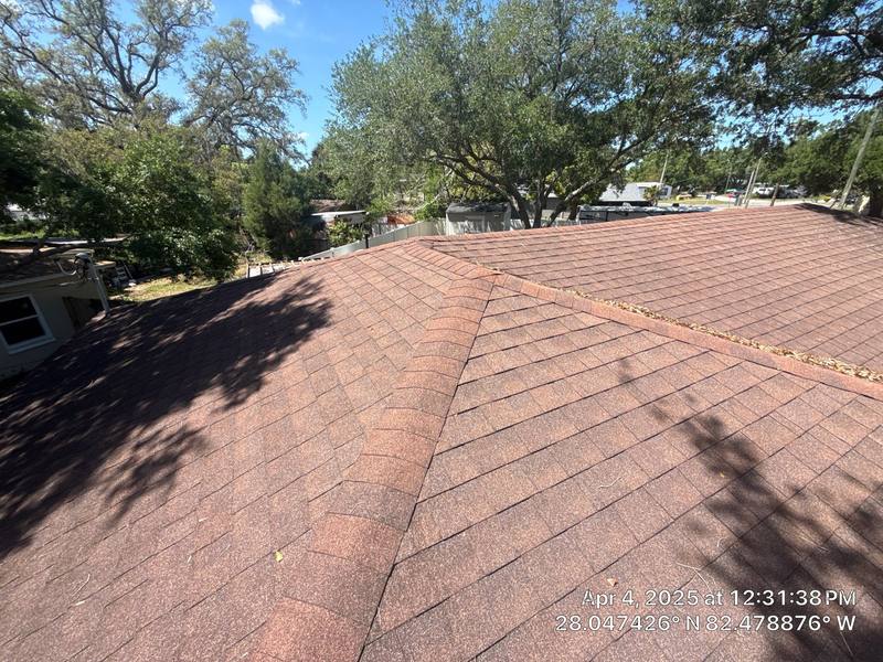 shingle roof replacement in Tampa, Florida