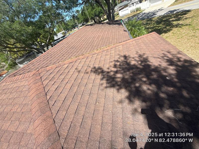 roofing project near N Oakleaf Ave in Tampa