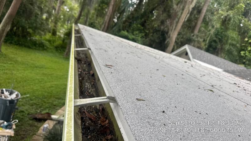 shingle roof replacement in New Port Richey, Florida
