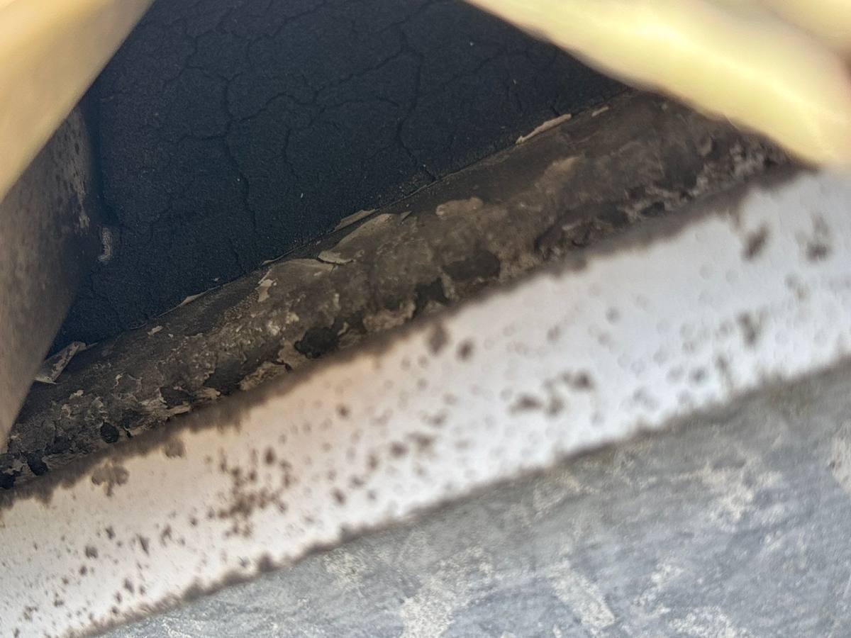roof replacement in Bradenton, Florida