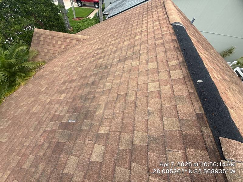 roofing project near Rocky Ledge Dr in Tampa
