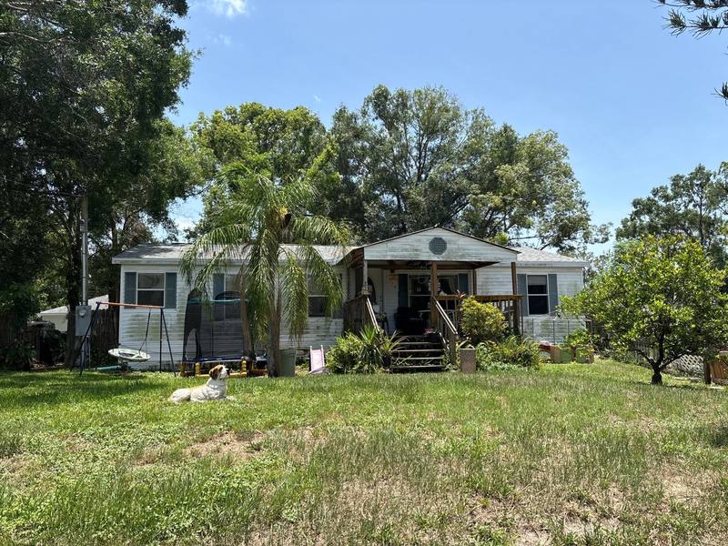 shingle roof replacement in Tampa, Florida