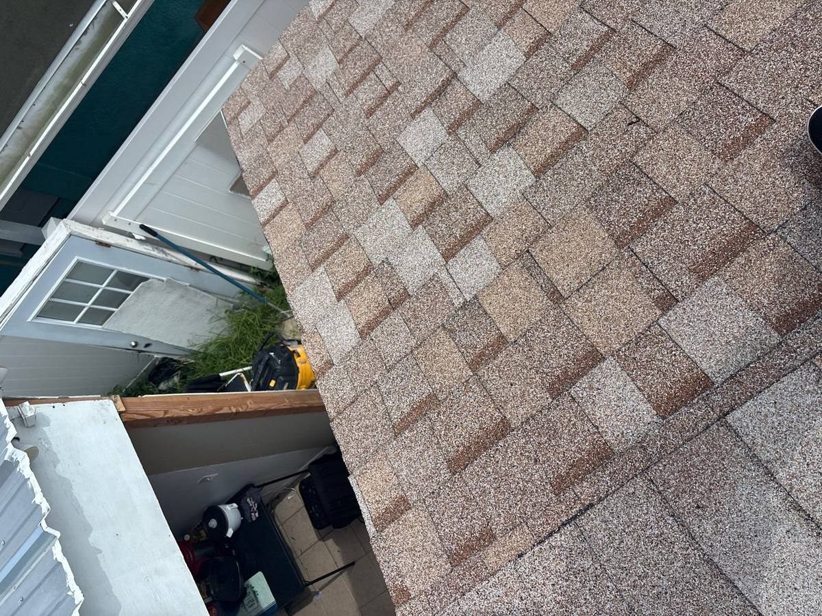 shingle roof replacement in Tampa, Florida