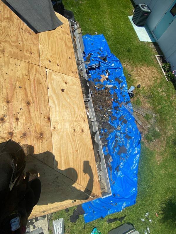 shingle roof replacement in New Port Richey, Florida