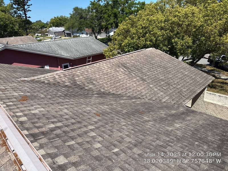 residential shingle roof replacement by Hloska Roofing in Dunedin