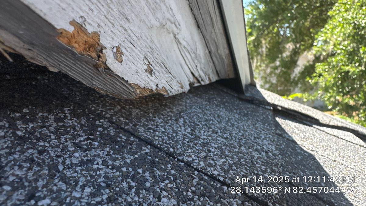 roof replacement in Lutz, Florida