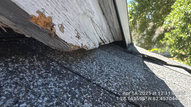 residential roof replacement by Hloska Roofing in Lutz