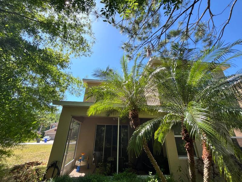 roofing project near Bella Woods Drive in Tampa