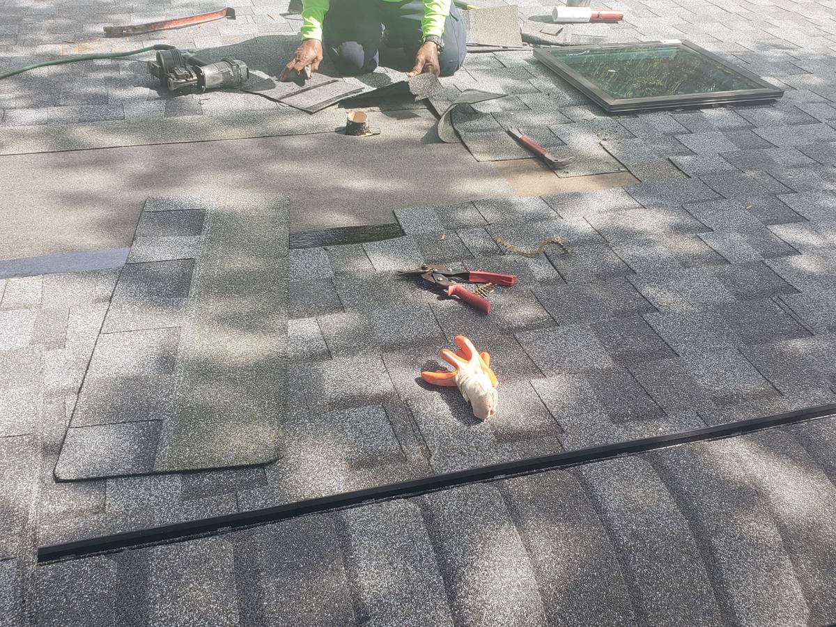 shingle roof replacement in Tampa, Florida